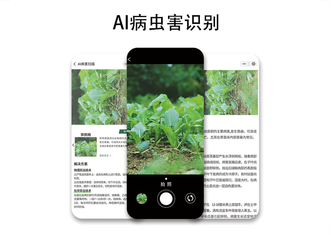 幻灯片3